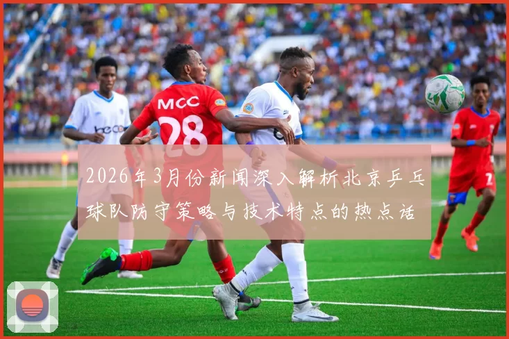 2026年3月份新闻深入解析北京乒乓球队防守策略与技术特点的热点话题