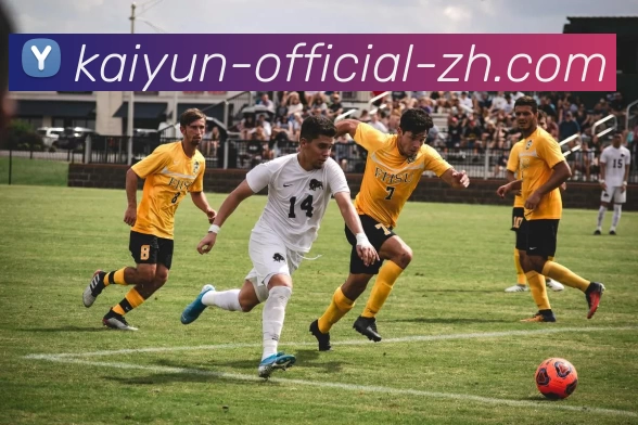 开云平台生态图